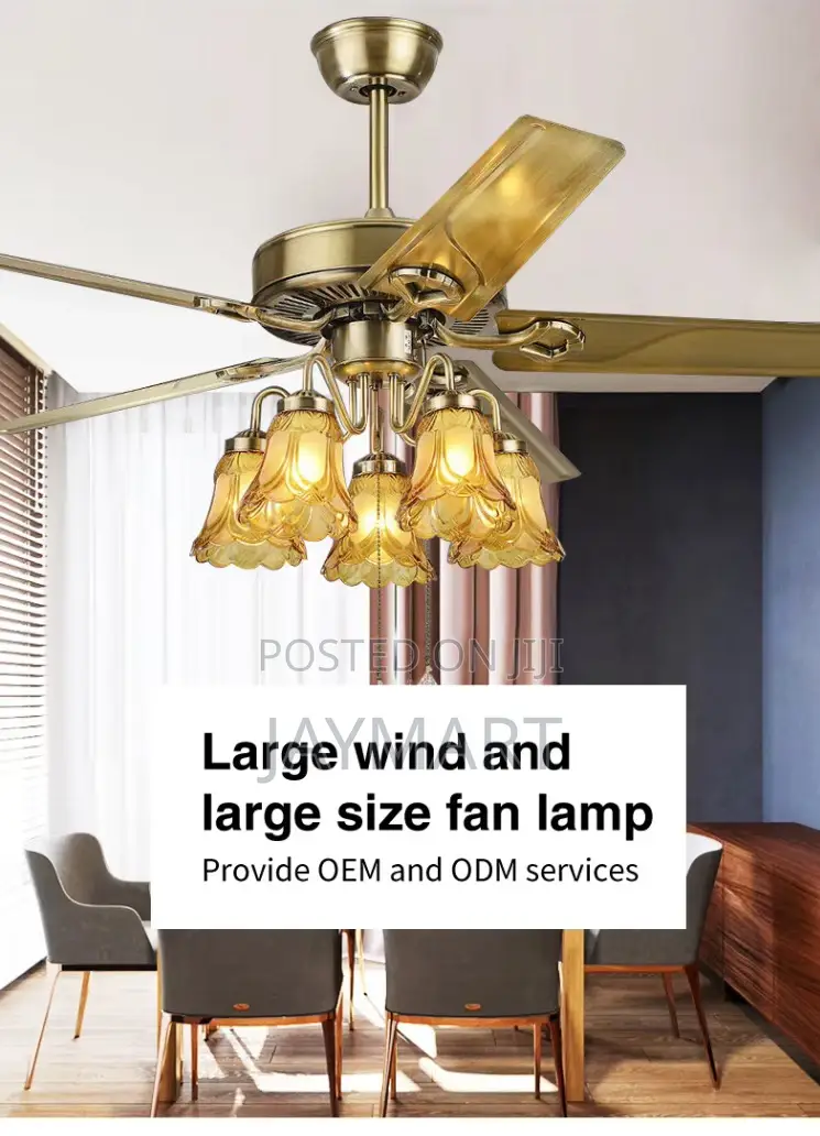 Ceiling Fanlight With Led Bulbs