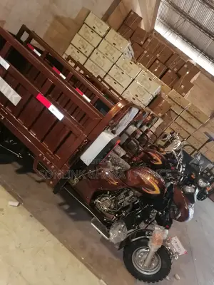 New Apsonic AP200ZH-W VIP 2024 Brown