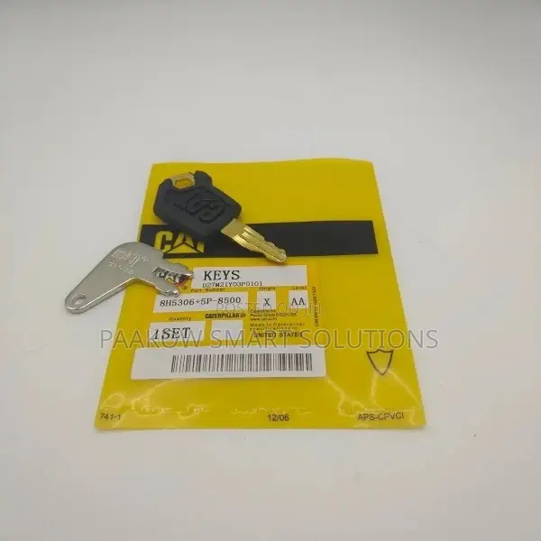 Caterpillar Master and Ignition Key.