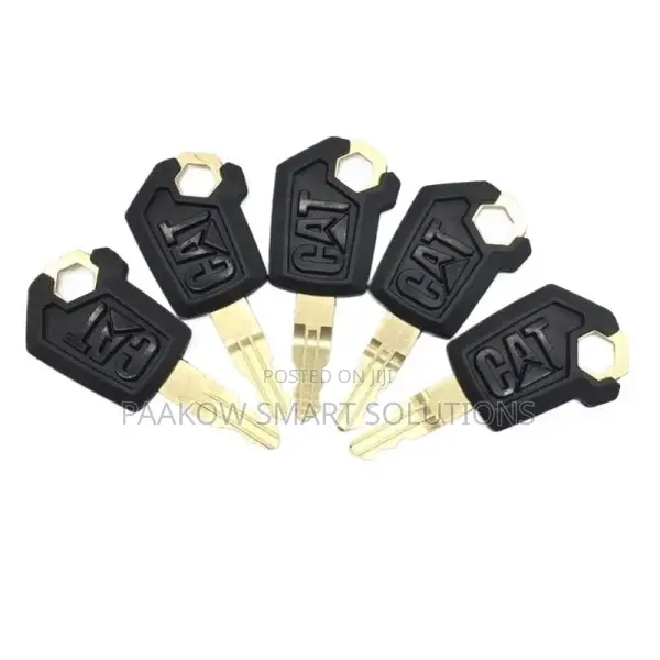 Caterpillar Master and Ignition Key.