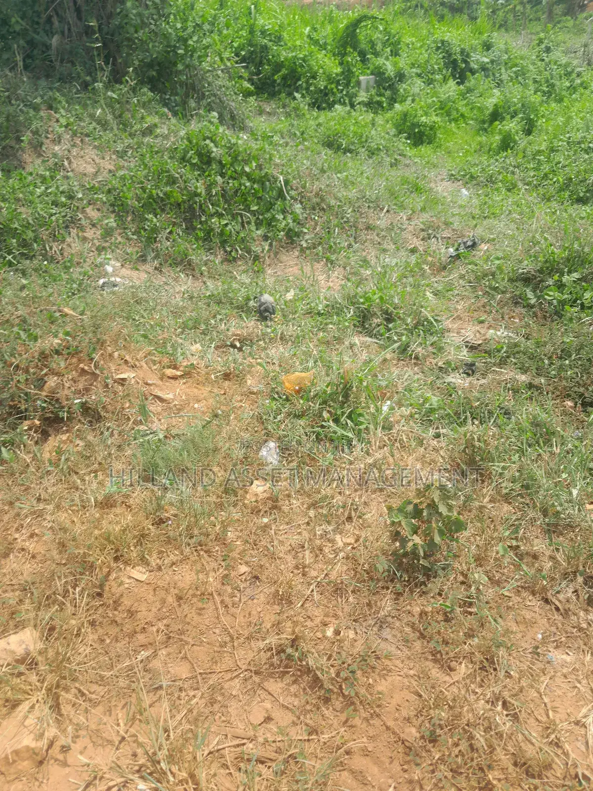 200 Plots Forsale at Adietem-Mpatado