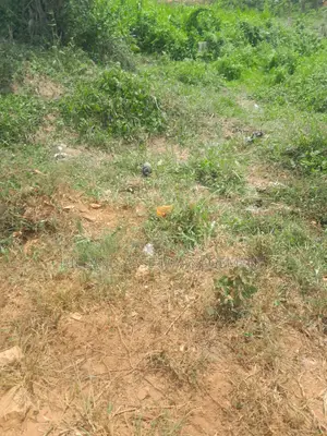 200 Plots Forsale at Adietem-Mpatado