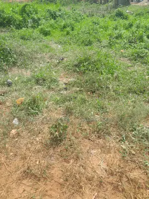 200 Plots Forsale at Adietem-Mpatado