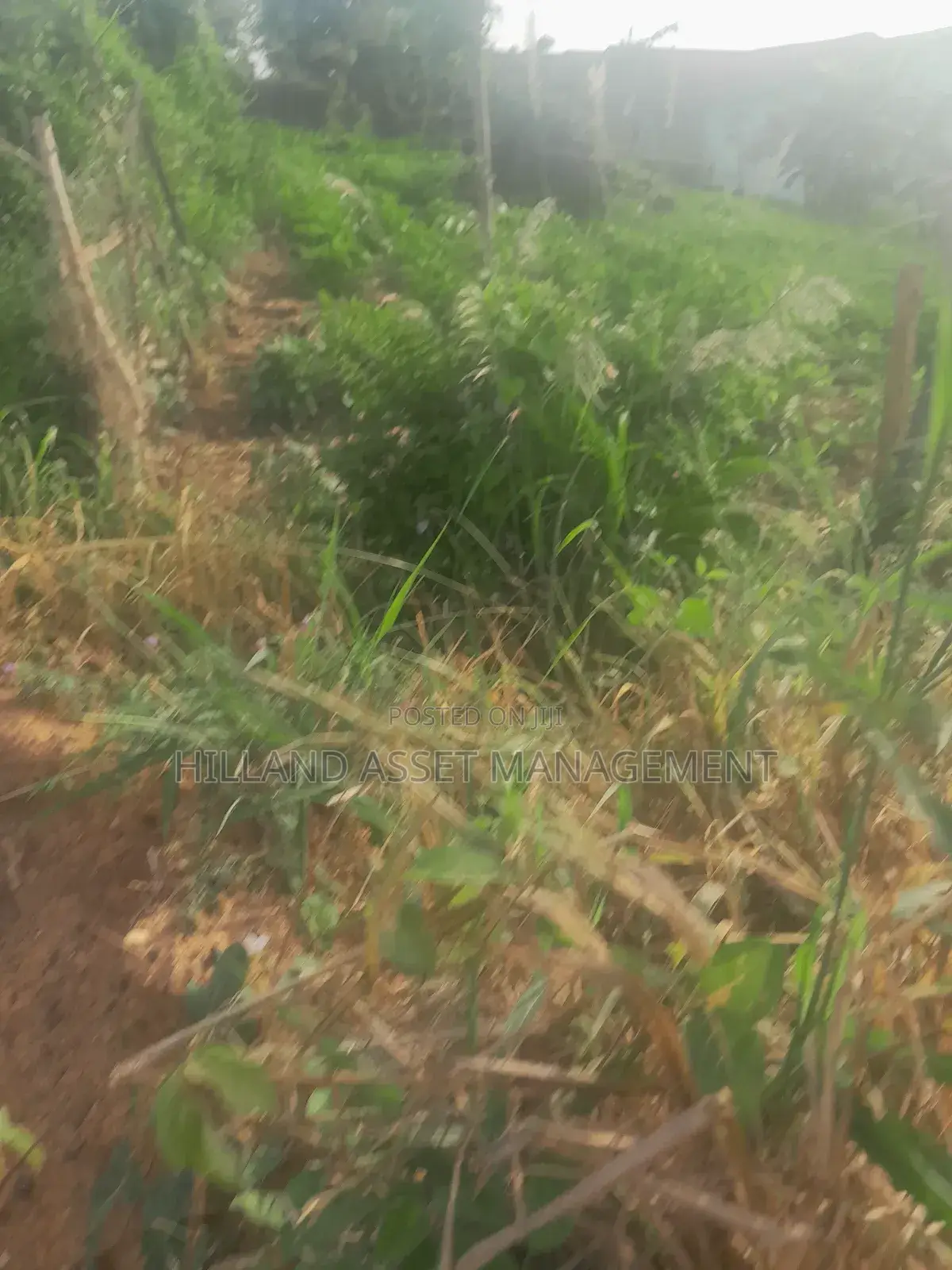 200 Plots Forsale at Adietem-Mpatado
