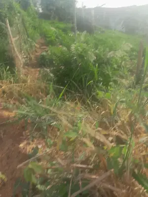 200 Plots Forsale at Adietem-Mpatado