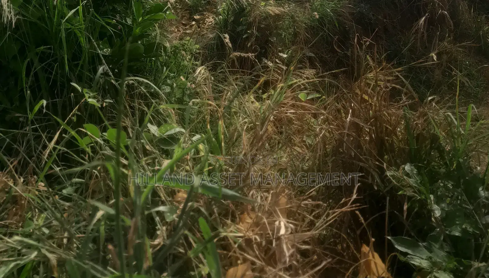 200 Plots Forsale at Adietem-Mpatado