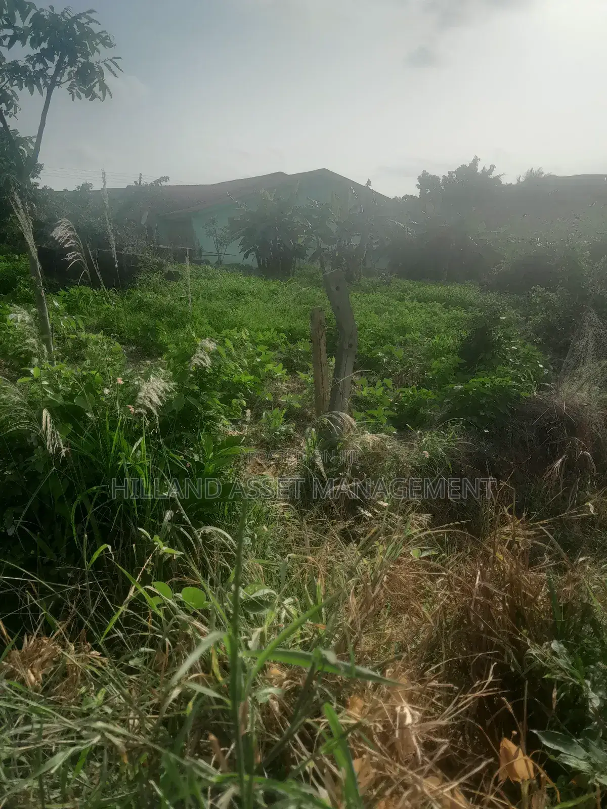200 Plots Forsale at Adietem-Mpatado