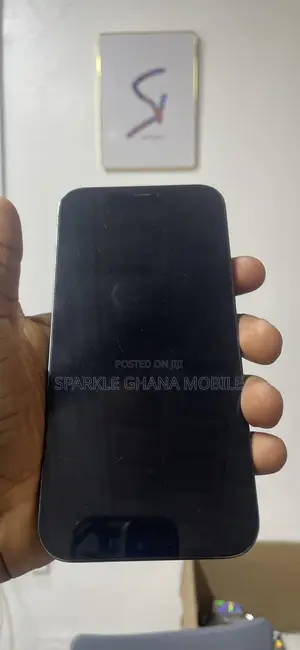 Apple iPhone 12 Pro Max 256 GB Blue