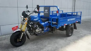 New Tricycle 2024 Blue