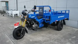 New Tricycle 2024 Blue