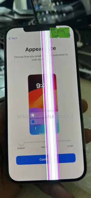 iPhone 12 Pro Max Icloud Screen