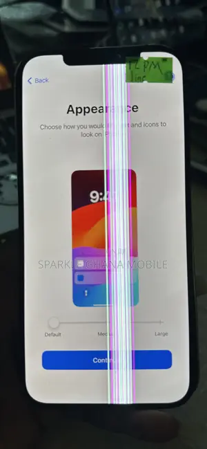 iPhone 12 Pro Max Icloud Screen