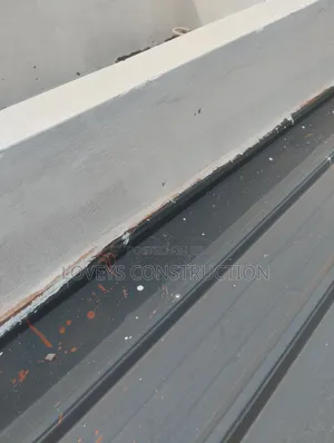 Roof Leakages Professional