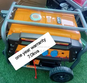 Electricity and 7.0kva Petrol Generator