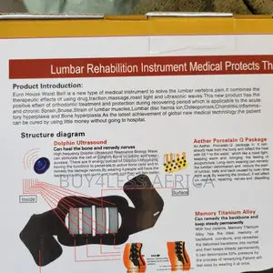 Premium Lumbar Waist Belt