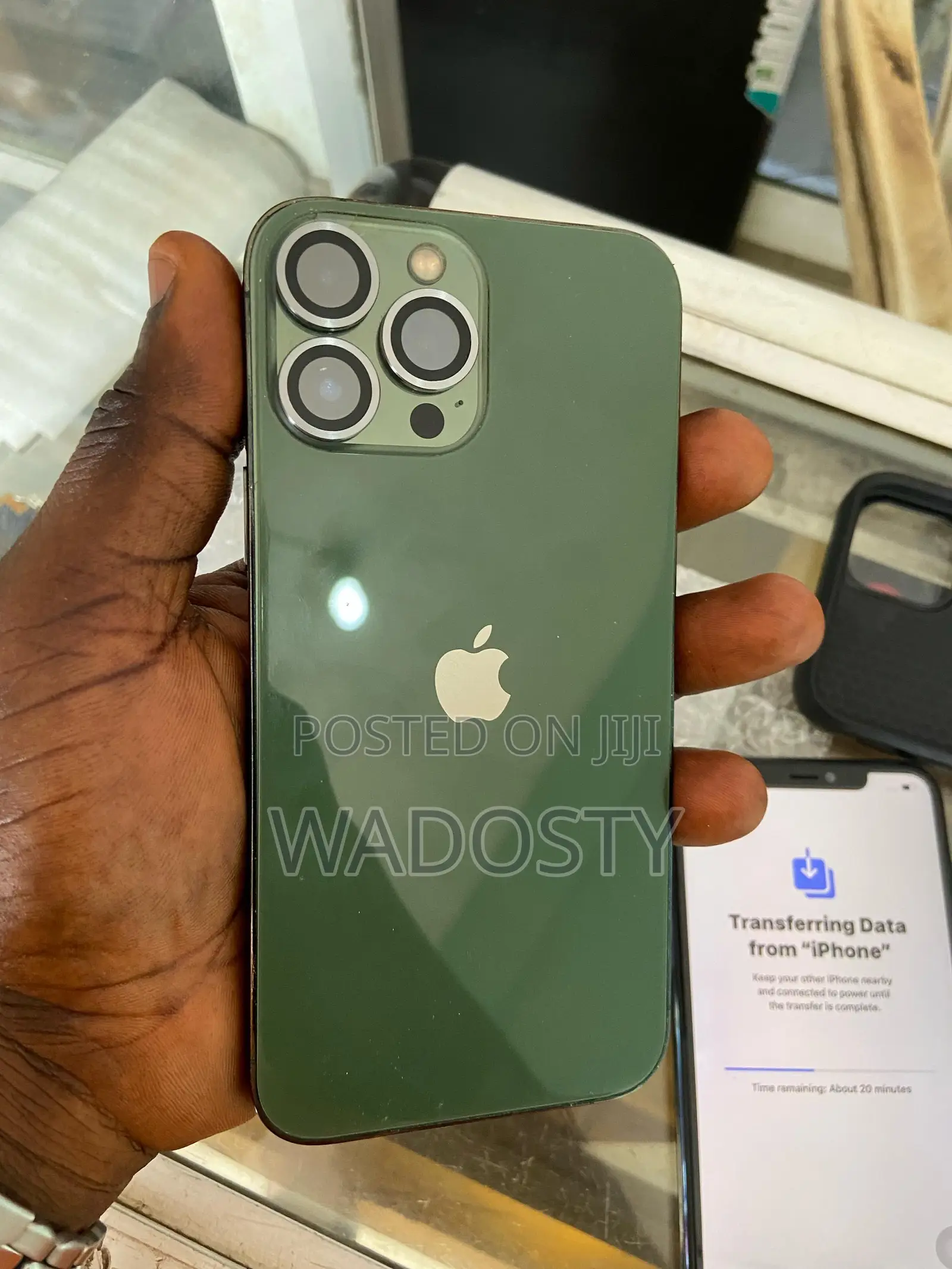 Apple iPhone 13 Pro Max 1 TB Green