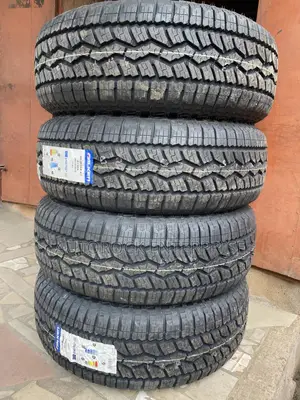 265/65r18 Premium Tires