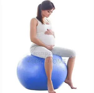 Gym Ball Exercise Ball 65cm, 75cm 85cm Diameter Diff Price