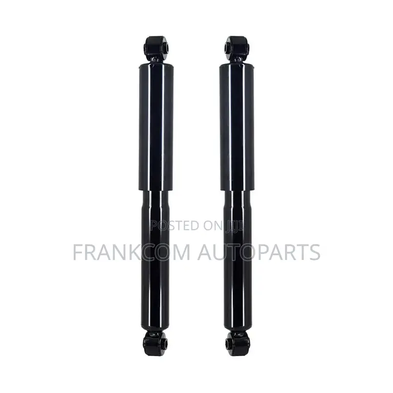 Chevrolet Equinox 2010-2017 Back Shocks Pair
