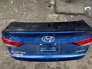 Hyundai Elantra 2017-2018 Booth