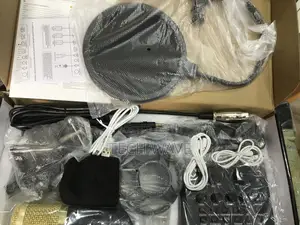 Professional Condenser Microphone
