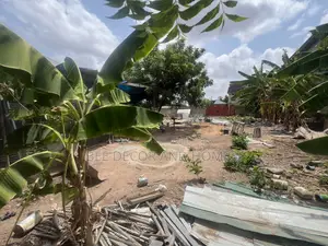 Sweet Located Land For Sale