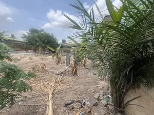 Sweet Located Land For Sale