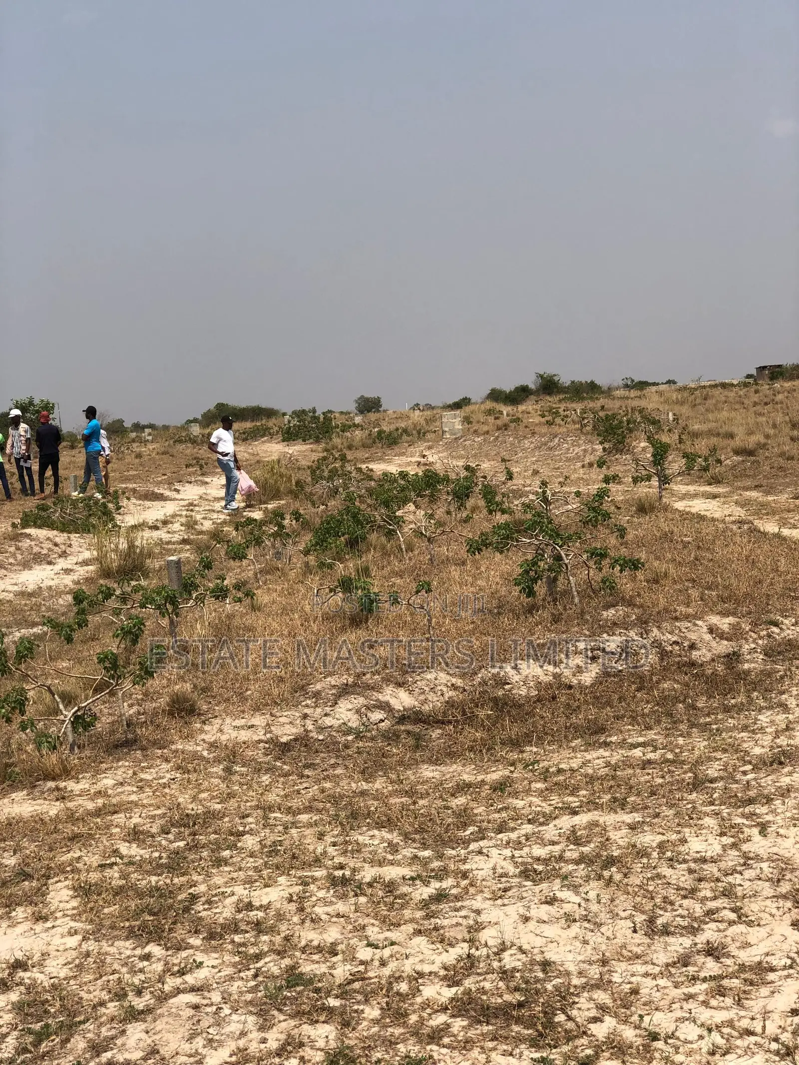 Finest Tsopoli Land for Sale- Behind Saglemi Housing Units