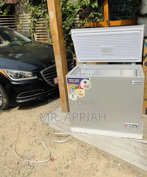 Best Nasco 300 Liters Electric Chest Freezer, Gray 