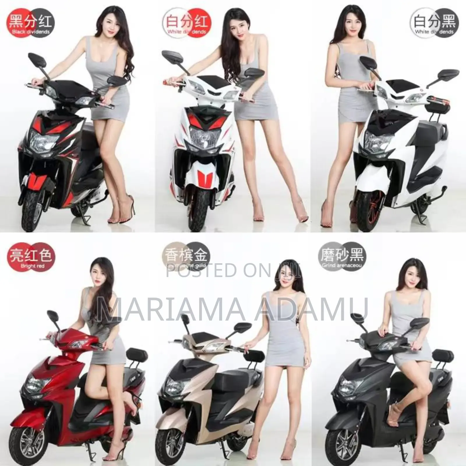 New Motorcycle 2024