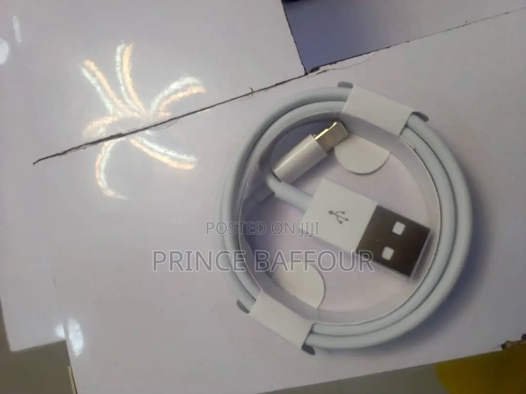iPhone Charger Cord/ Apple iPhone Charger Cord