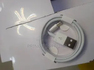 iPhone Charger Cord/ Apple iPhone Charger Cord