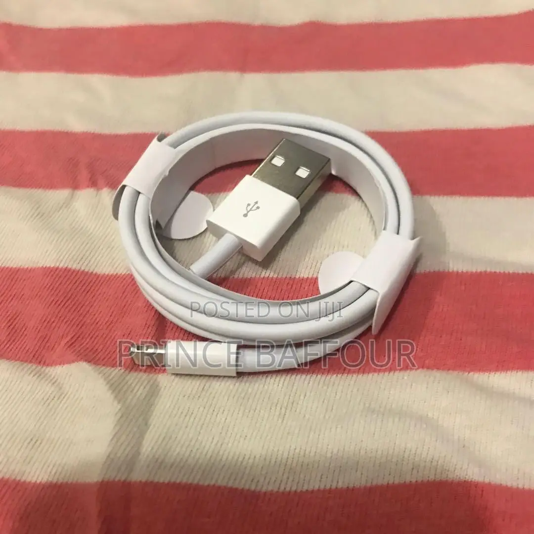 iPhone Charger Cord/ Apple iPhone Charger Cord