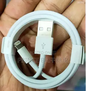 iPhone Charger Cord/ Apple iPhone Charger Cord