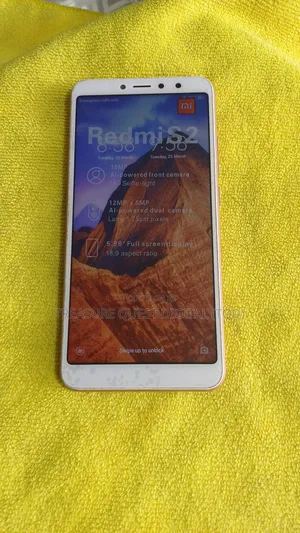 Xiaomi Redmi Y2 (S2) 64 GB Gray