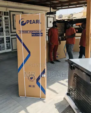 Premium Quality Pearl PVC-316-2b Electric Beverage Cooler.