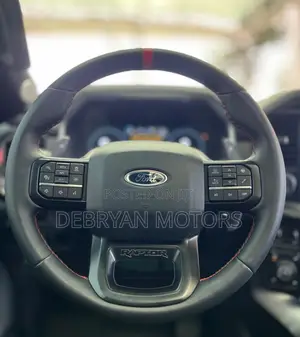Ford F-150 Raptor 2023 Silver