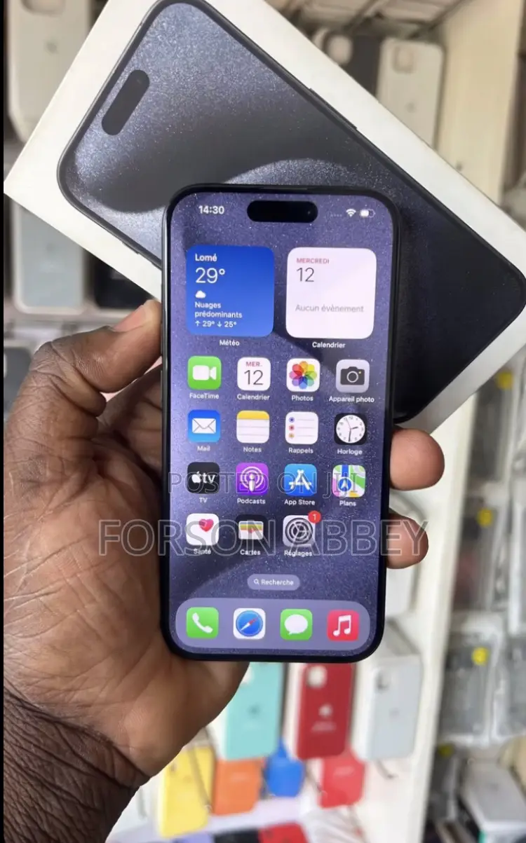 Apple iPhone 15 Pro Max 256 GB Black