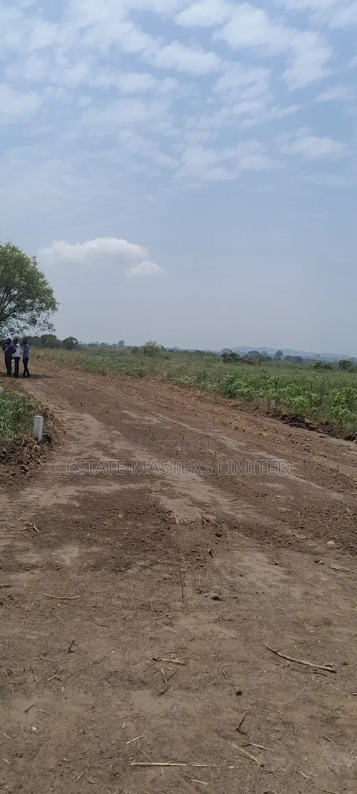 Own a Plot at Palm Hills- 15 Minutes Off Accra-Winneba Road