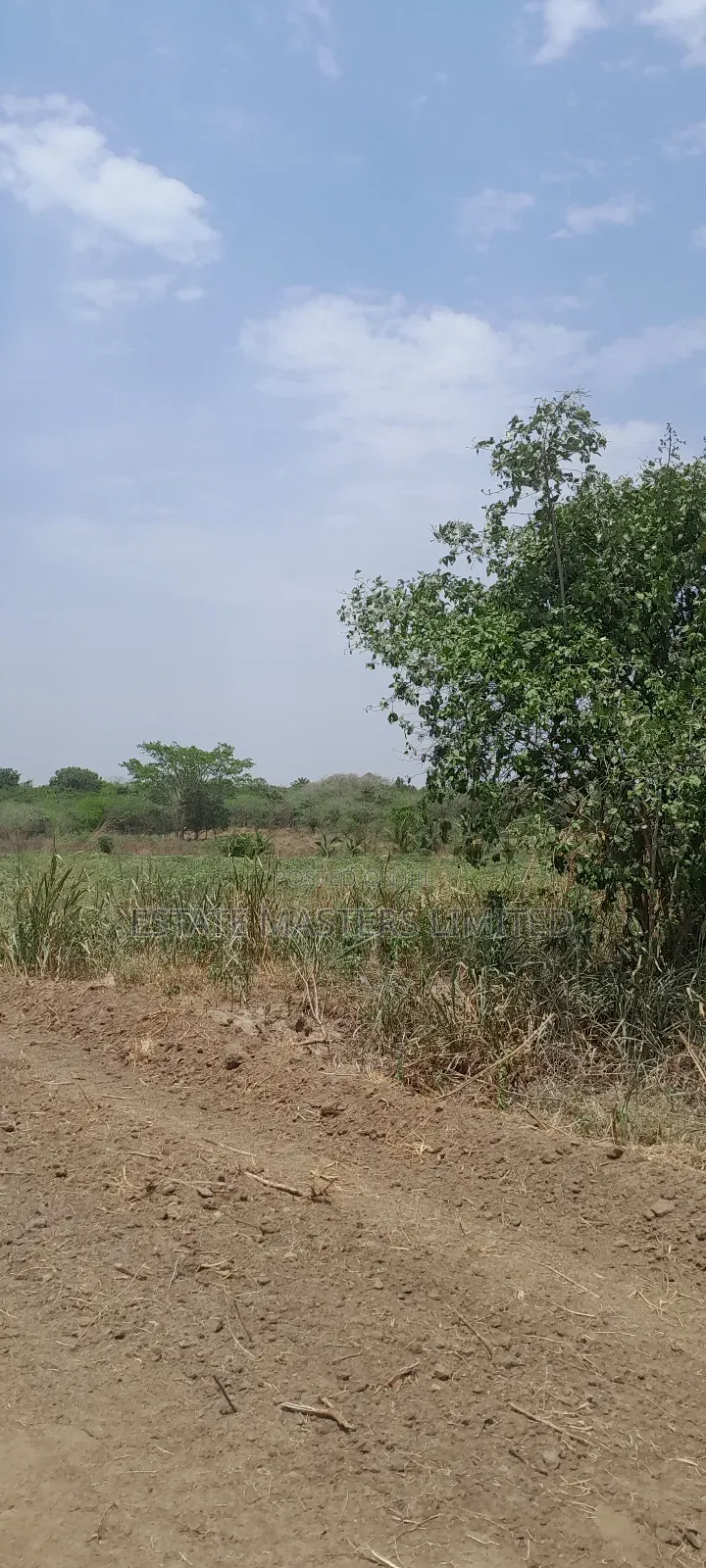 Own a Plot at Palm Hills- 15 Minutes Off Accra-Winneba Road