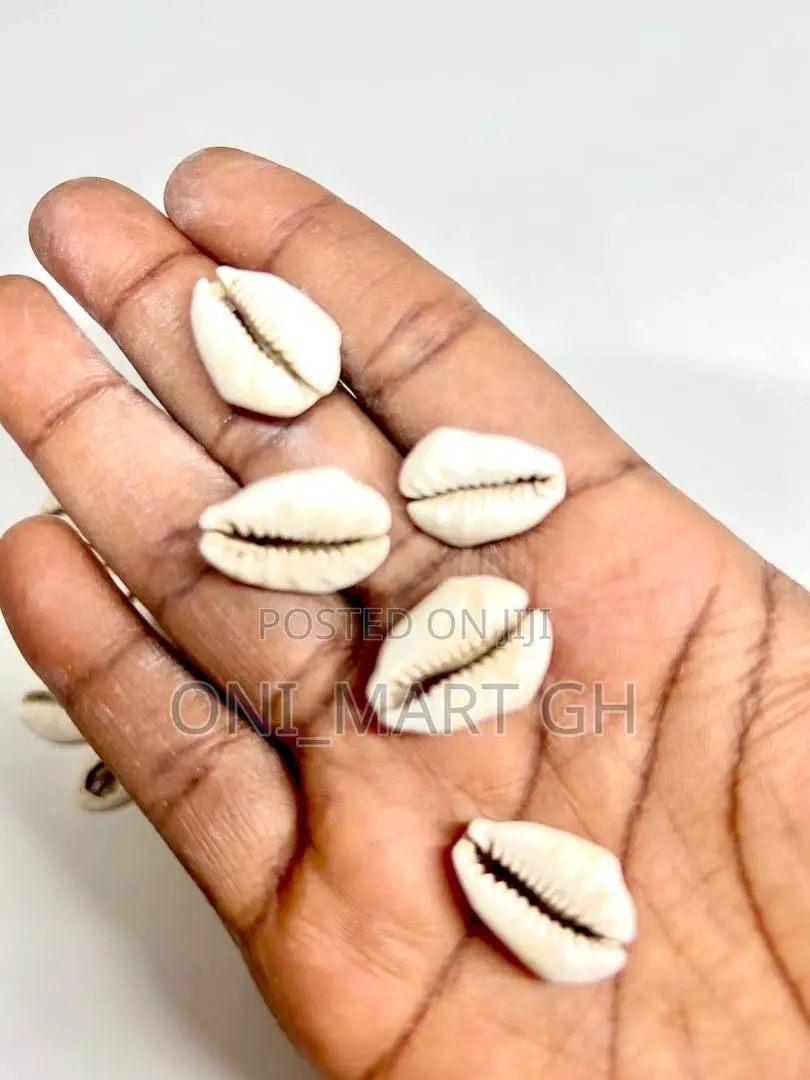 Cowrie Shells/ Sedie