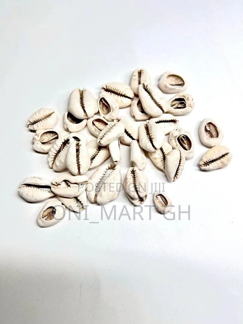 Cowrie Shells/ Sedie