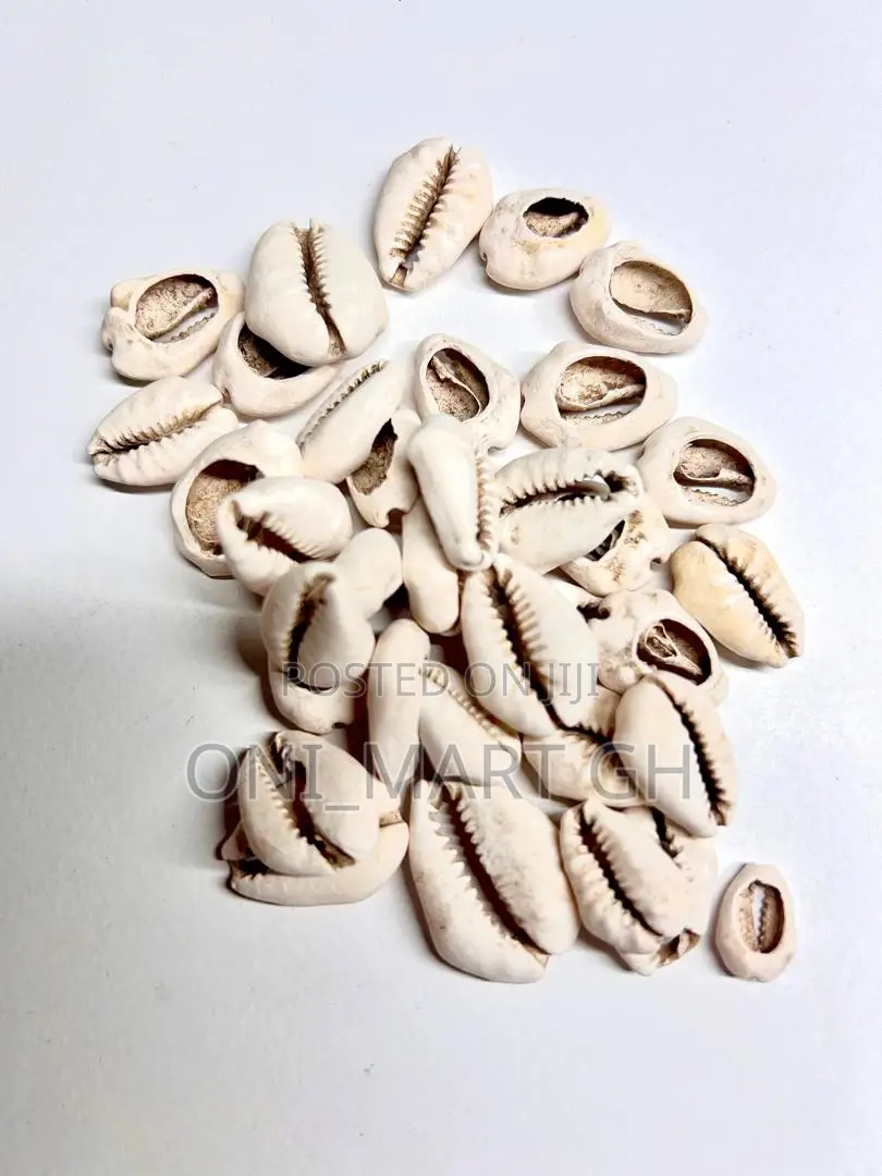 Cowrie Shells/ Sedie