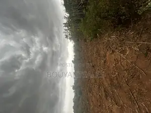 Titled 3 Acres of Land for Sale at Abokobi