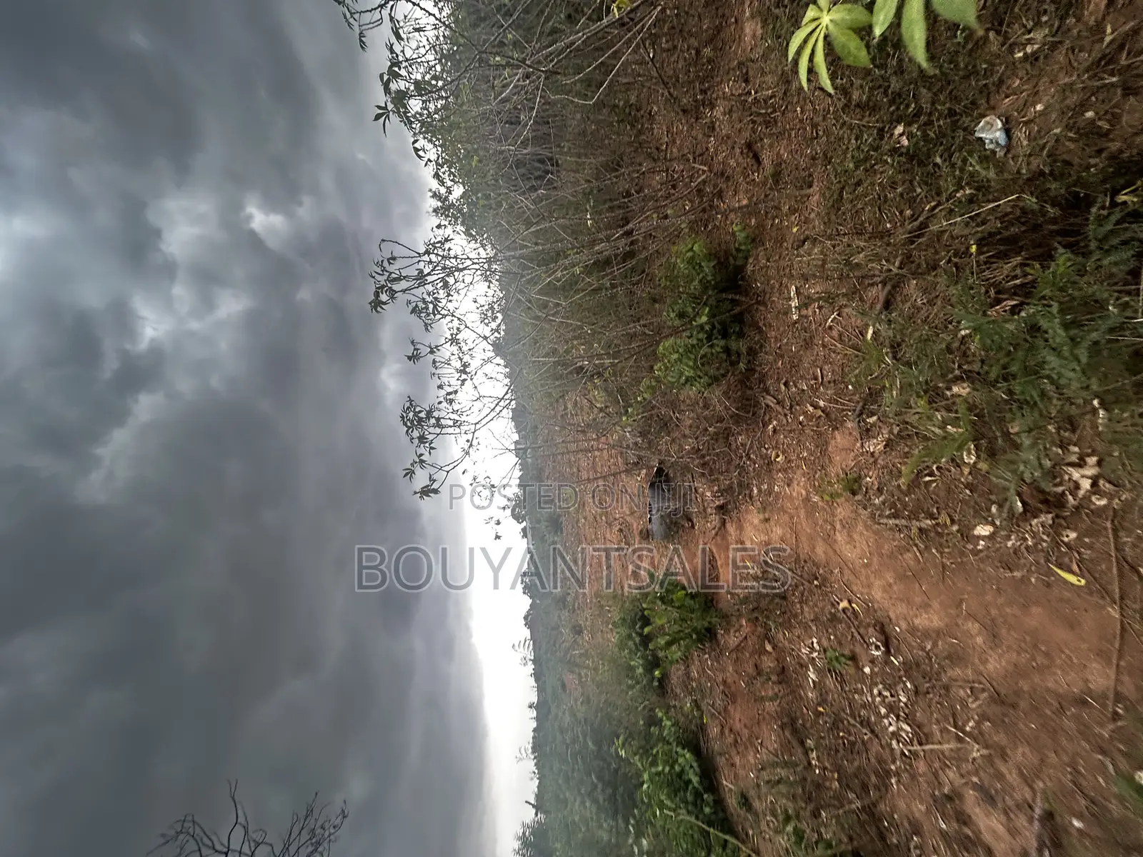 Titled 3 Acres of Land for Sale at Abokobi