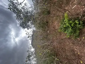 Titled 3 Acres of Land for Sale at Abokobi