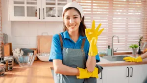 House to House Cleaners