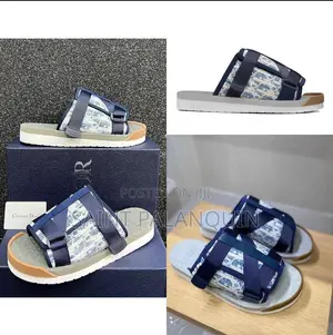 Dior Obliques