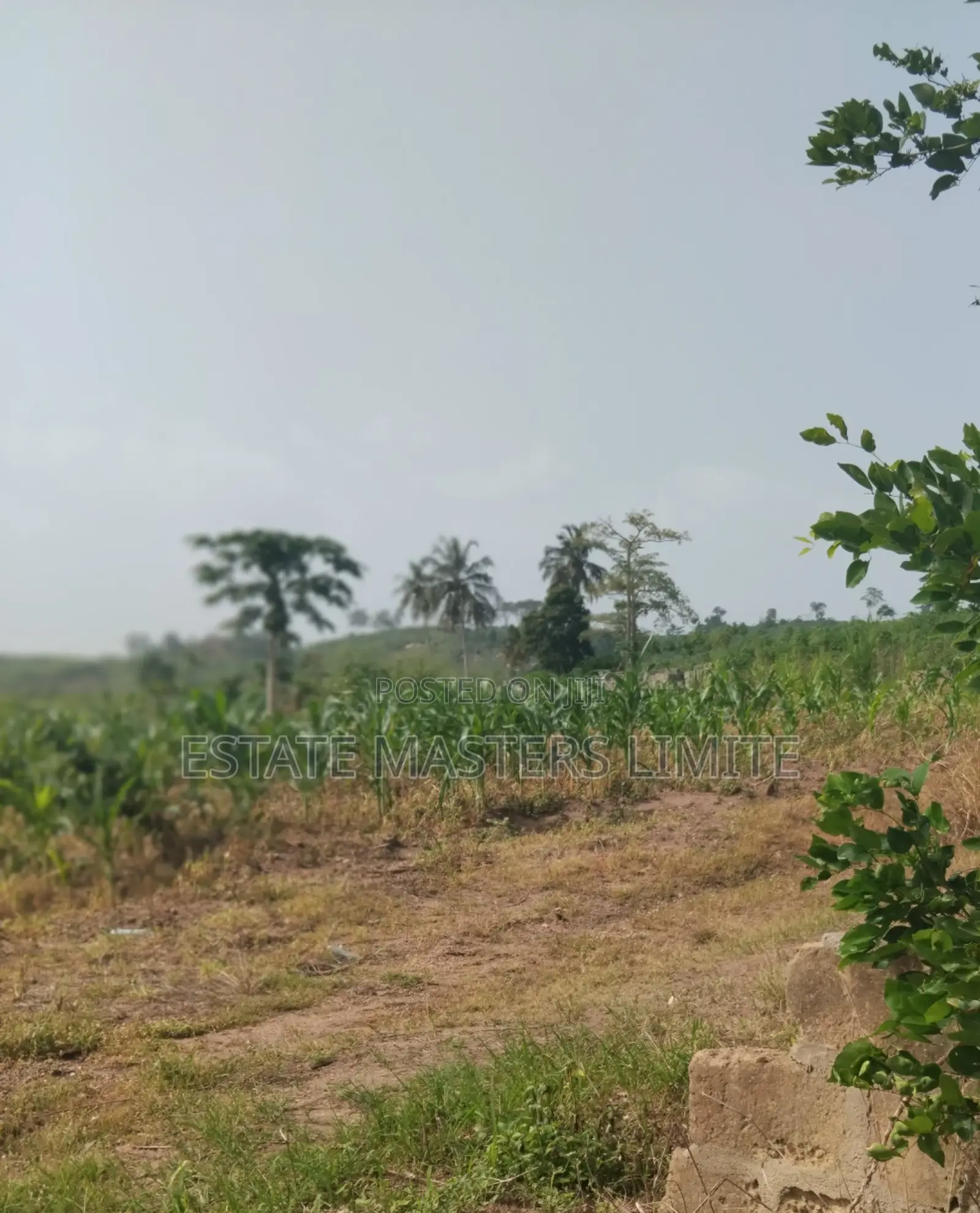 Build On A Discounted Plots For Sale At Dominase