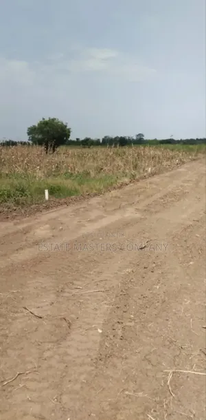 Well Organised Site at Panfokrom for Your Project